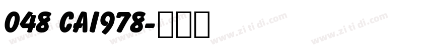 048 CAI978字体转换